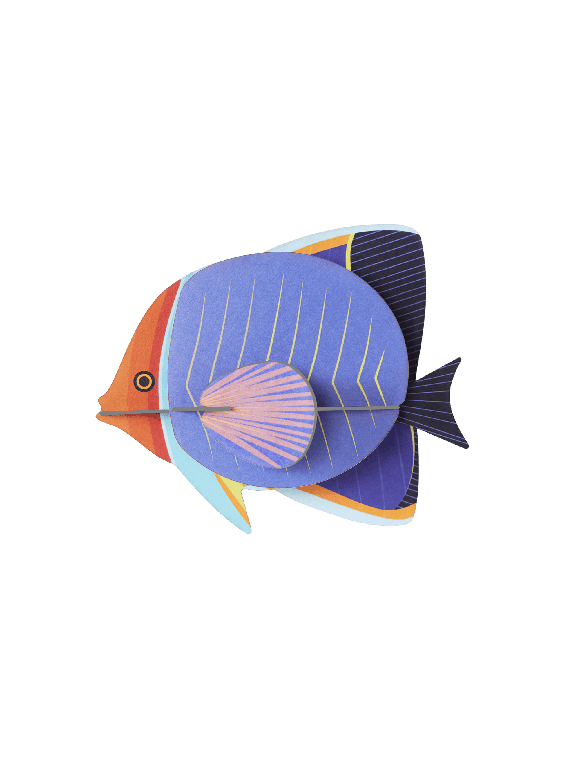 Butterfly Fish
