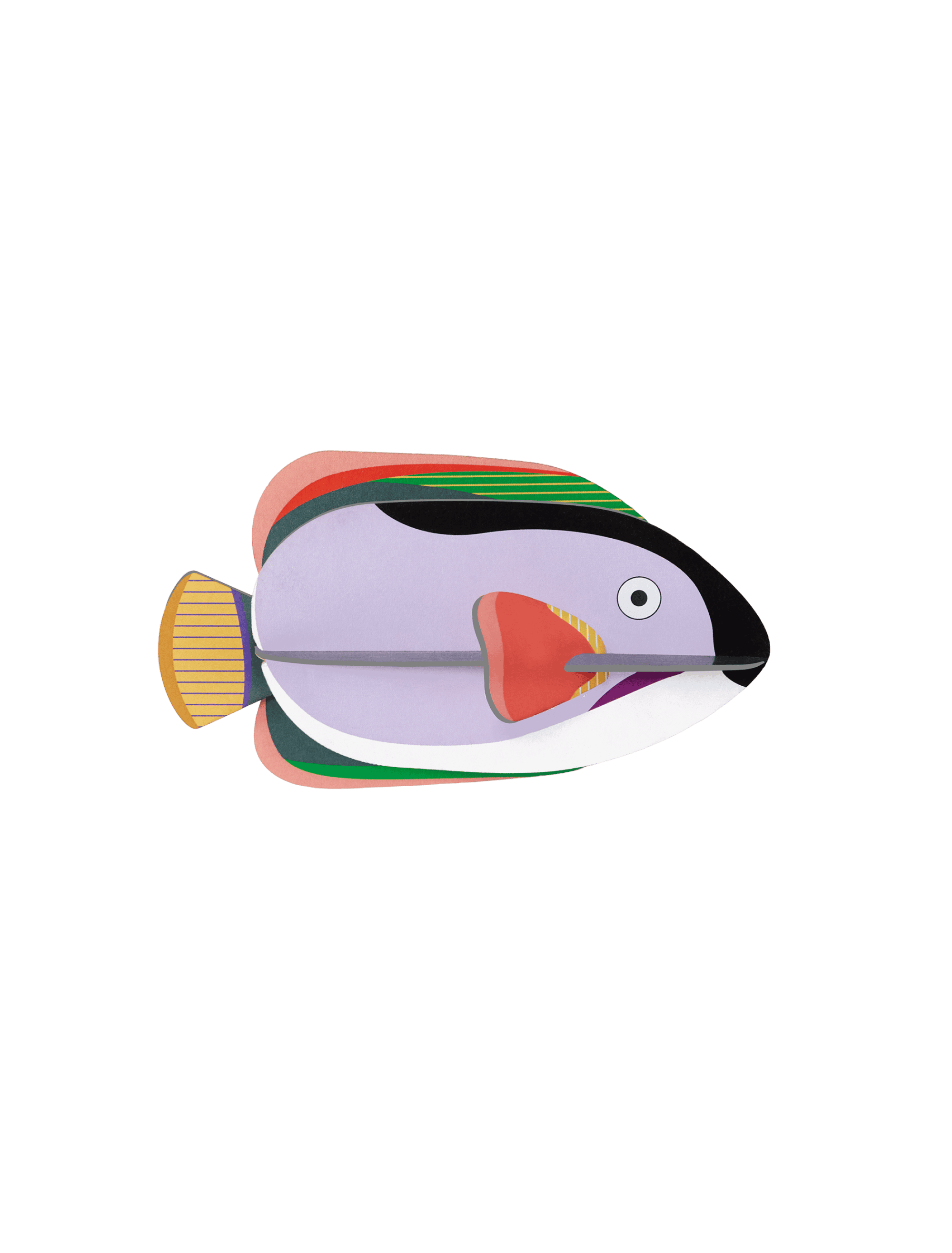 King Angelfish