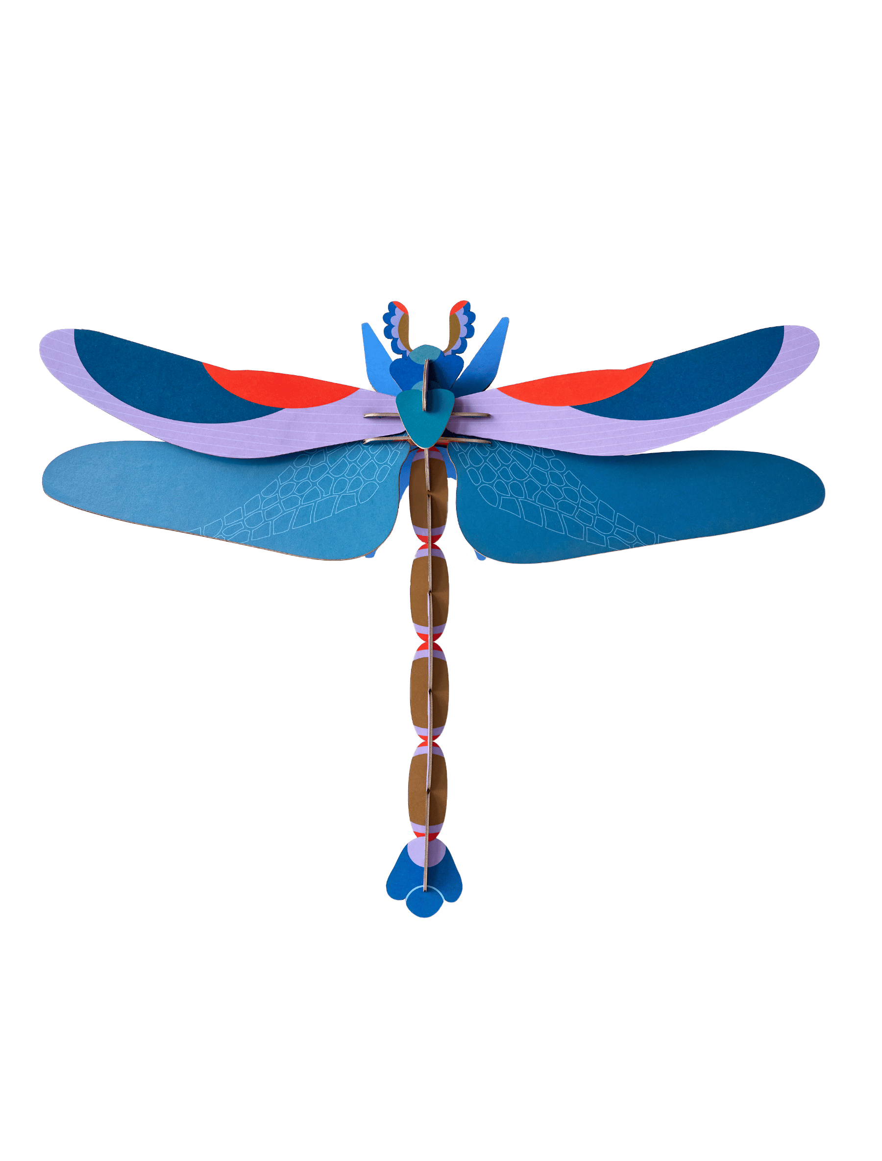 Giant dragonfly, blue