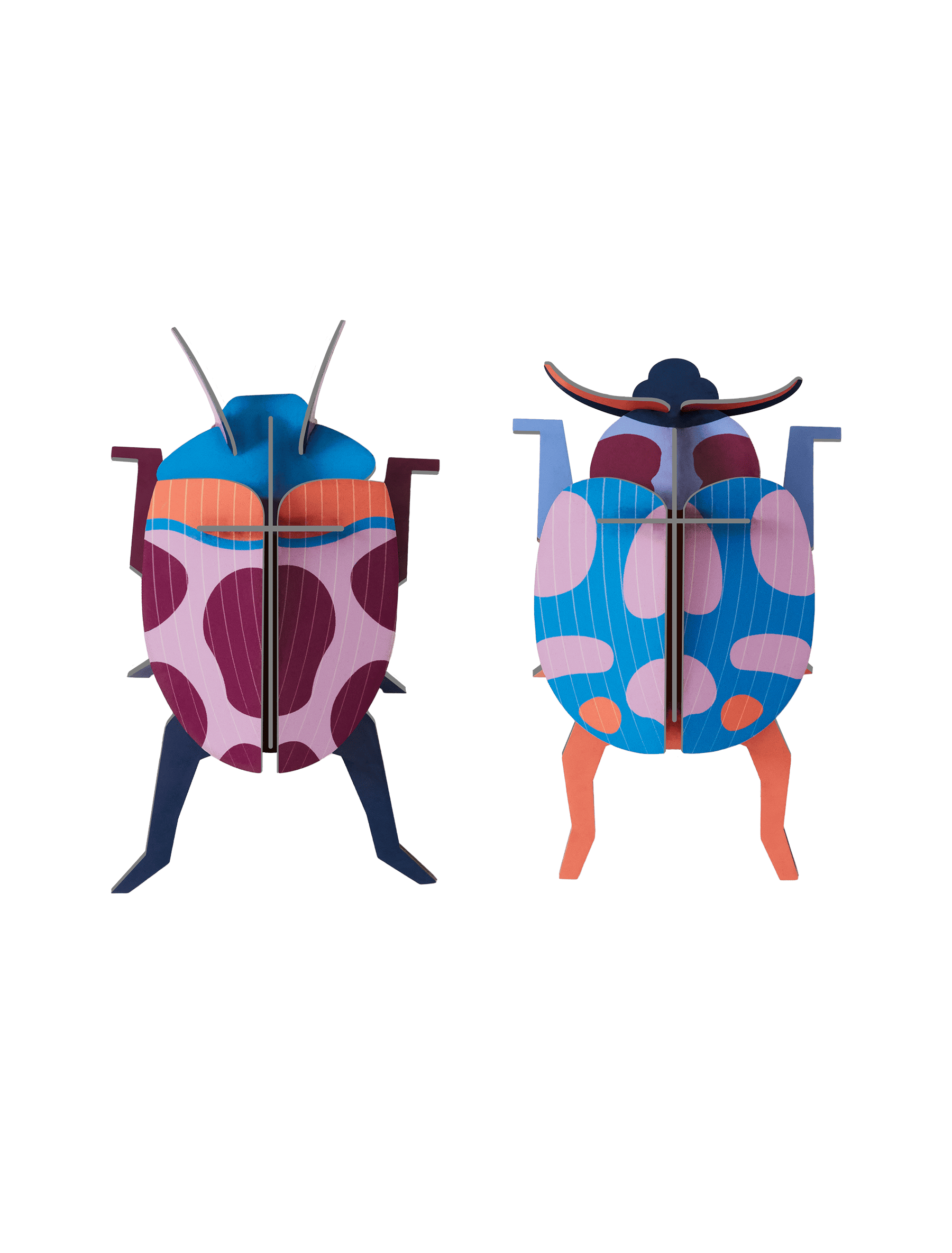 Coccinelle Couple