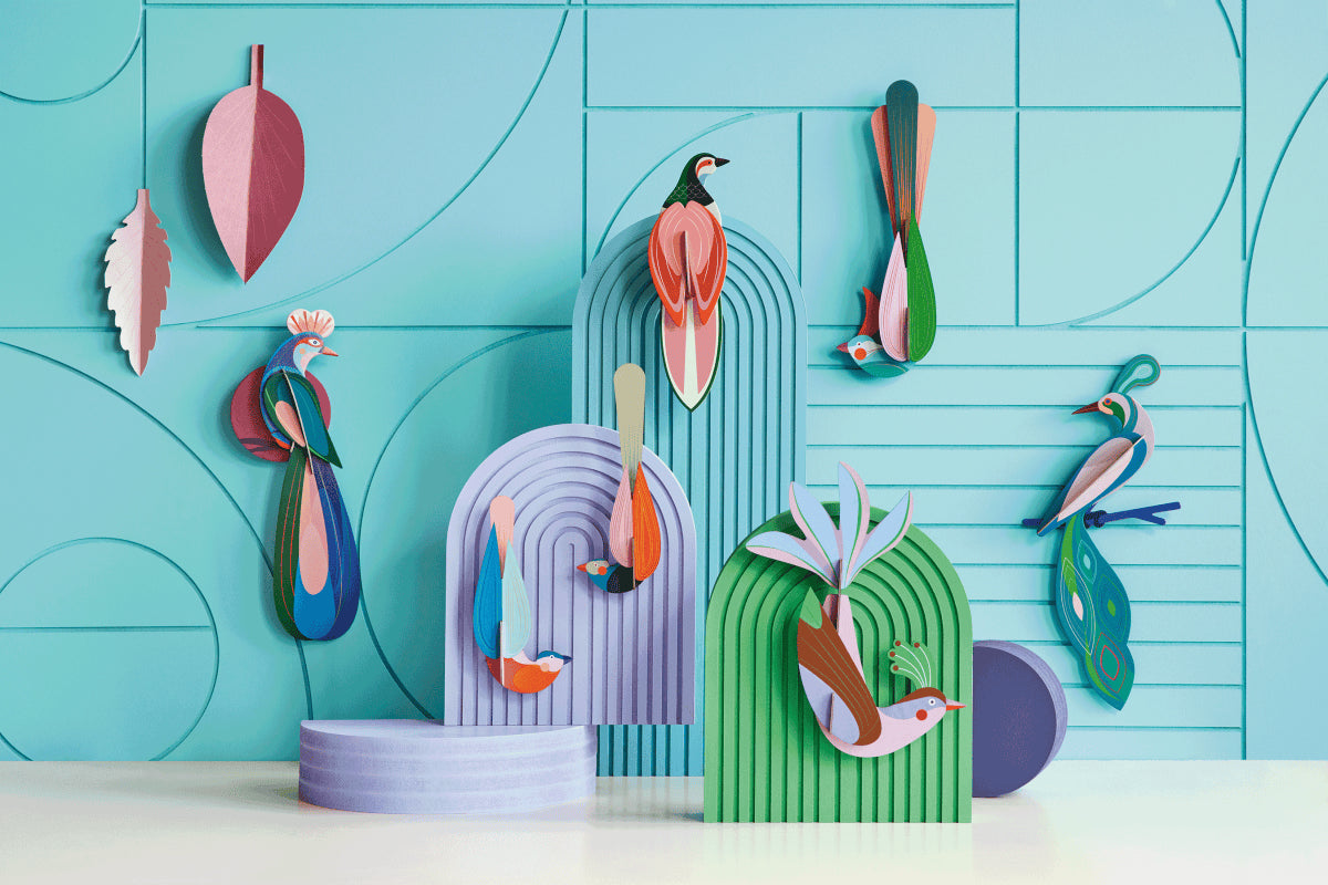 Paradise Bird, Banda