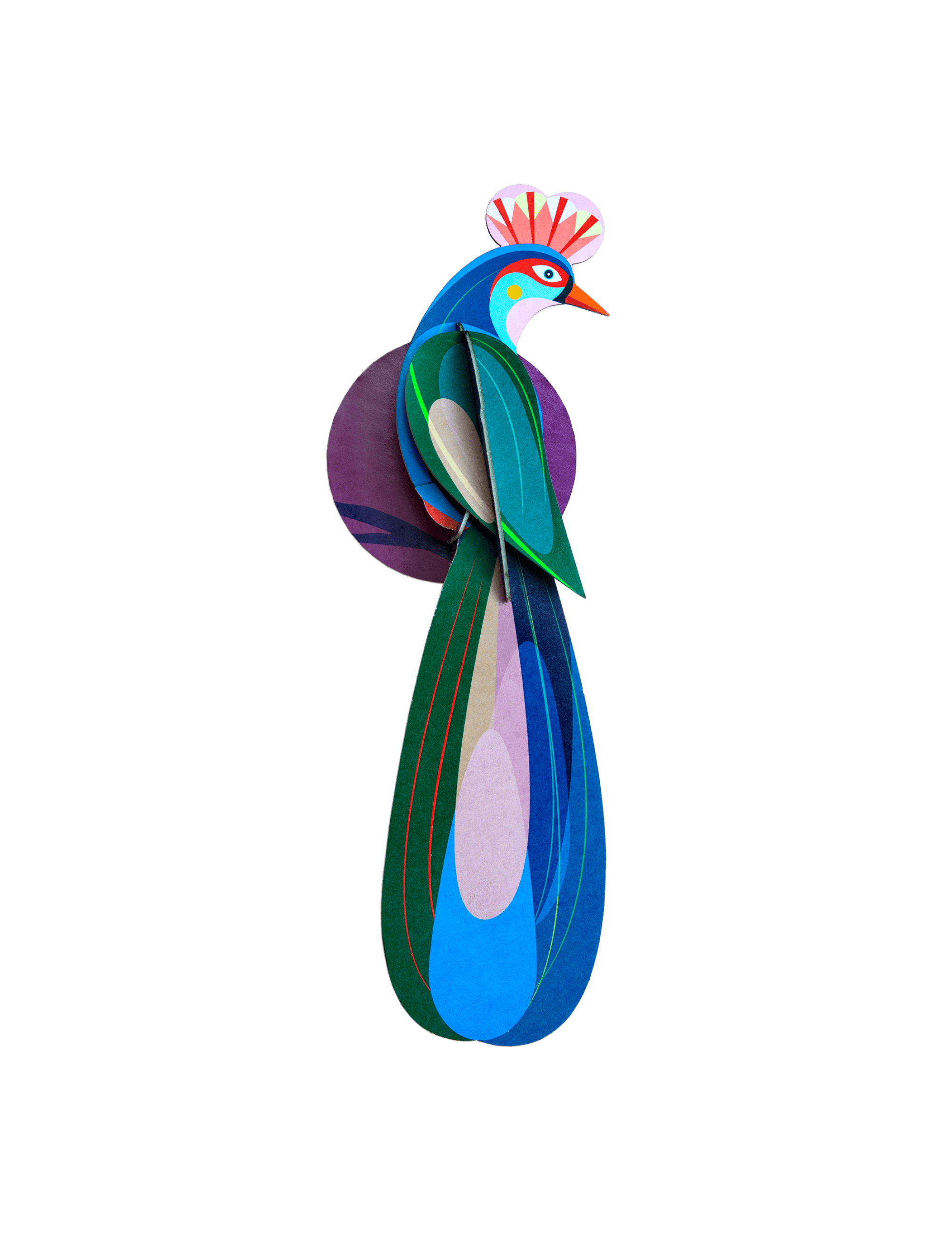 Paradise Bird, Banda