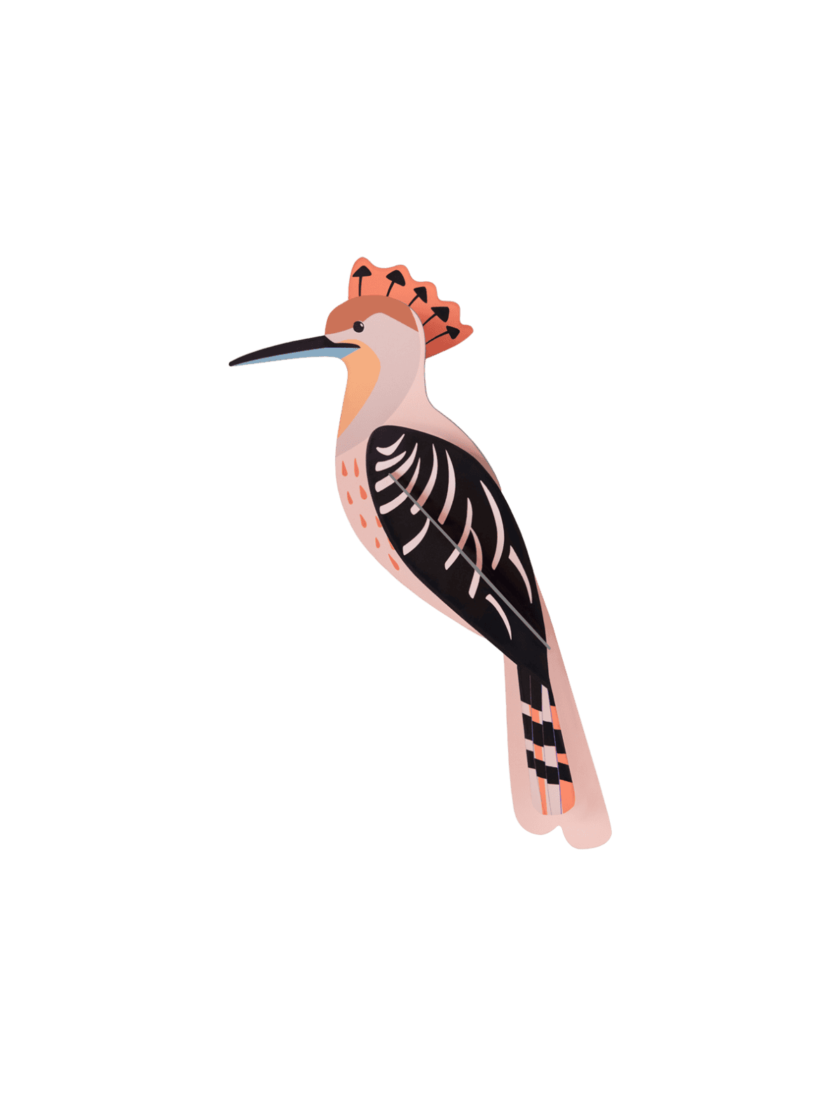Hoopoe