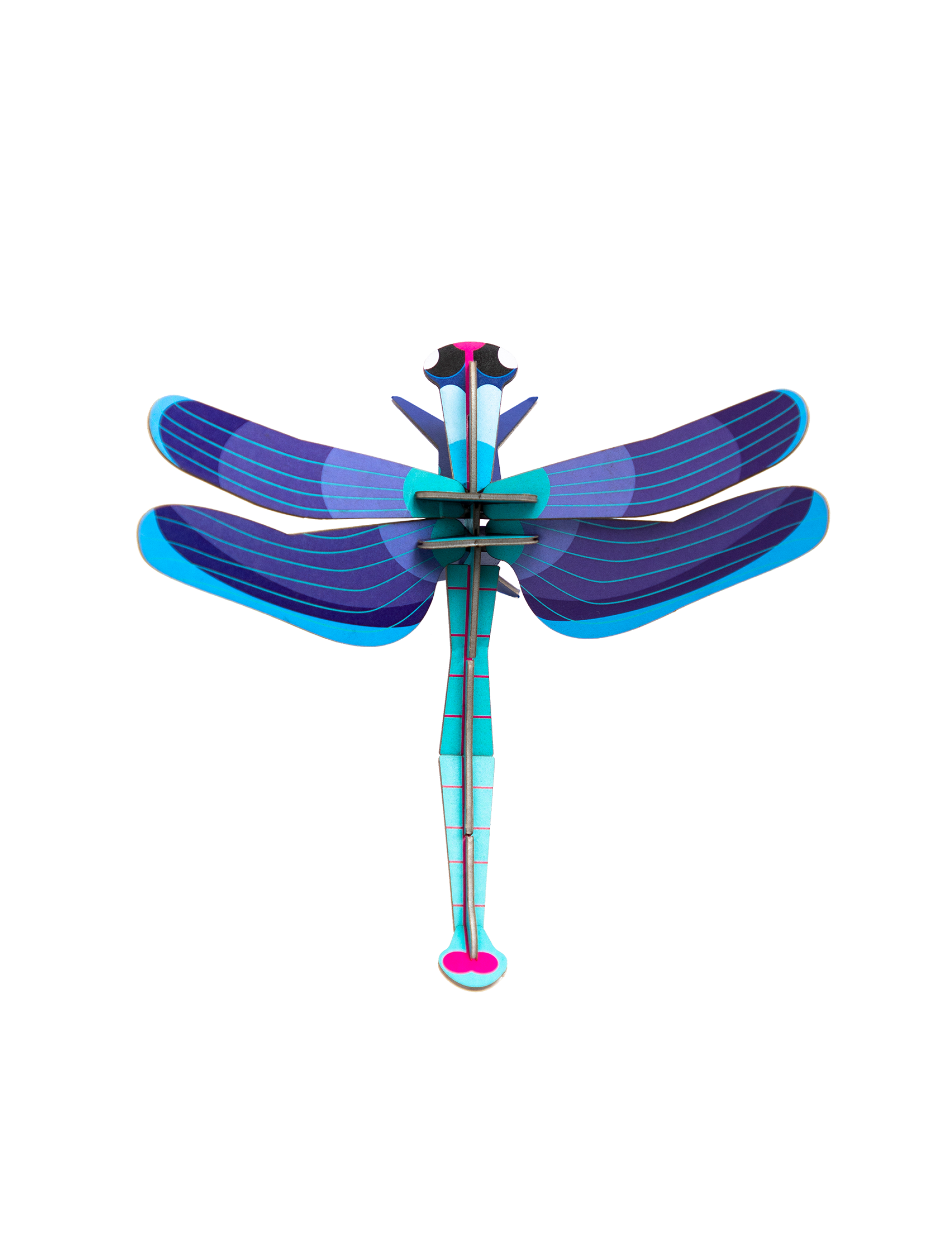 Sapphire Dragonfly